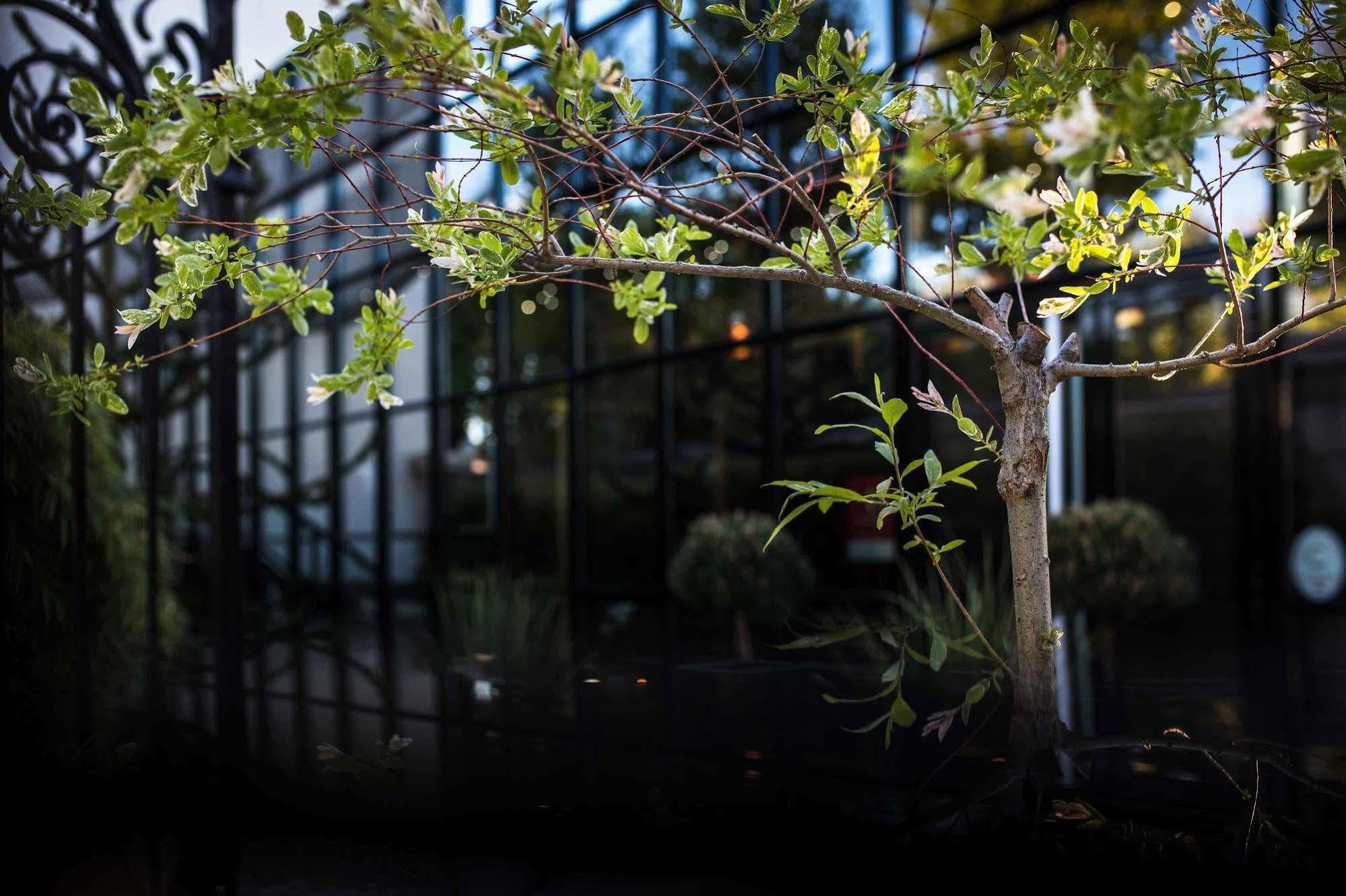 Maison Decoret - Relais & Chateaux Виши Экстерьер фото